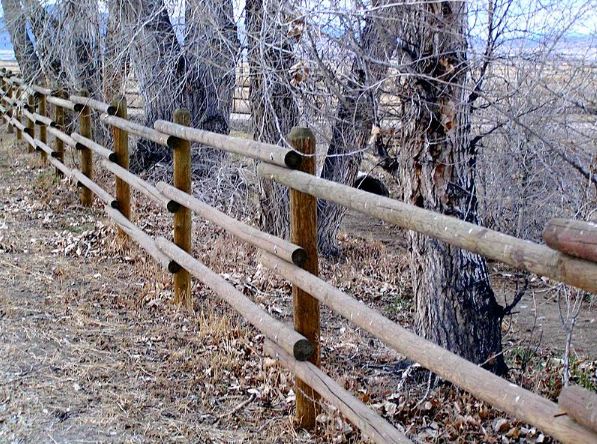 Rail Fence